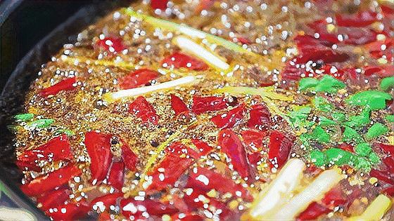 夏津龍魚店，夏津龍魚店有哪些龍魚品種