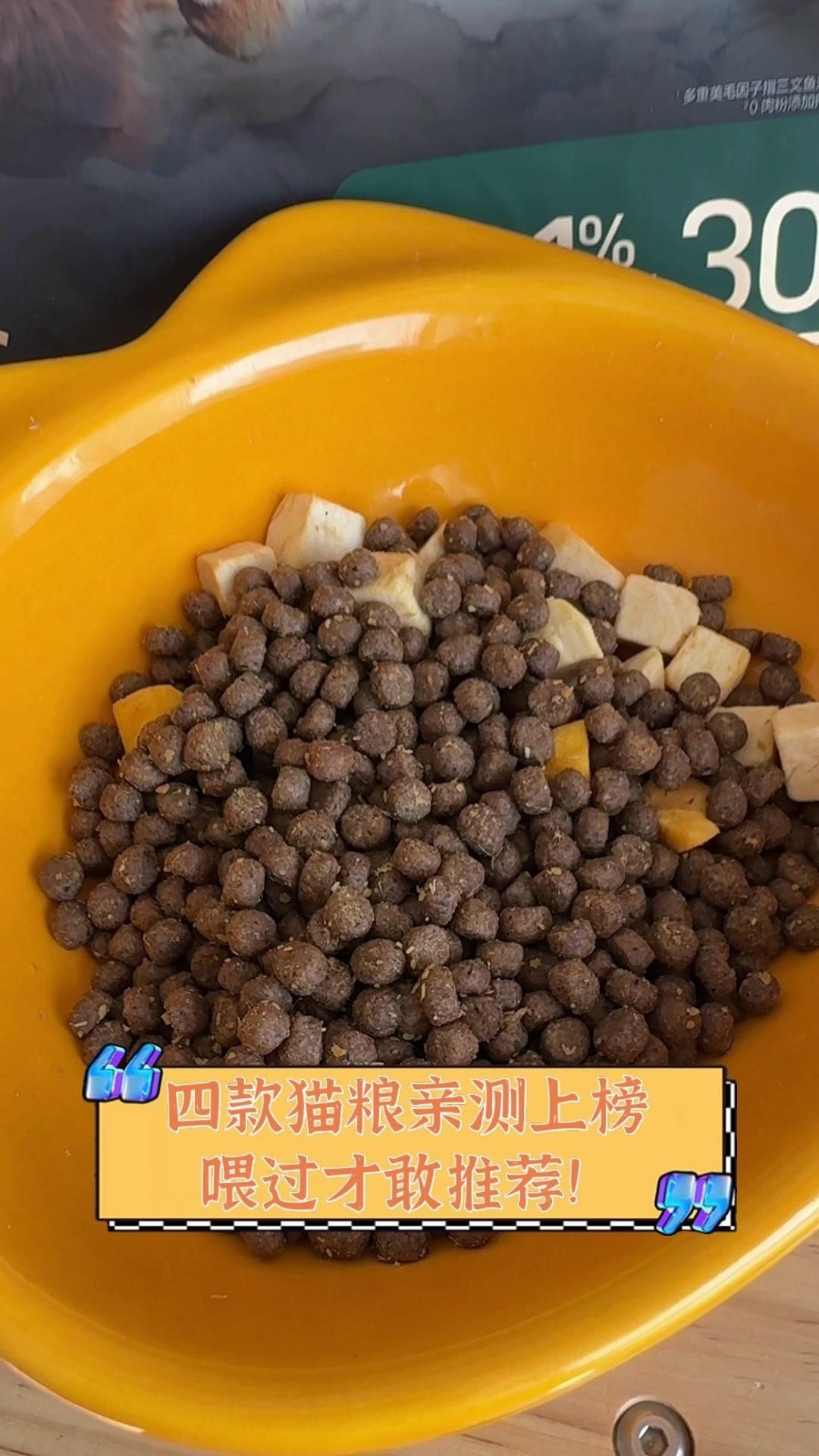 貓糧哪個牌子最好最安全，許愿仔、希喂和藍氏哪個好？