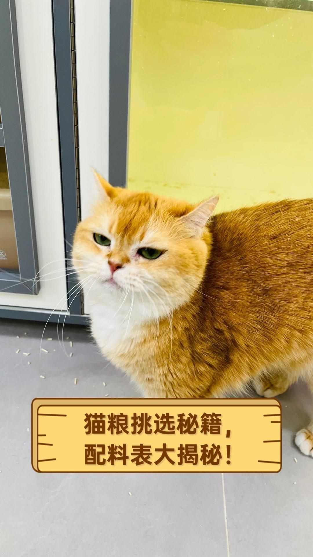 貓糧哪個(gè)牌子最好最安全，許愿仔、希喂和藍(lán)氏哪個(gè)好？