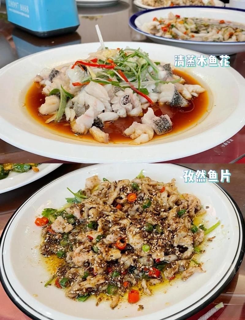 徐州龍魚店，徐州龍魚vs祥龍魚場(徐州龍魚市場