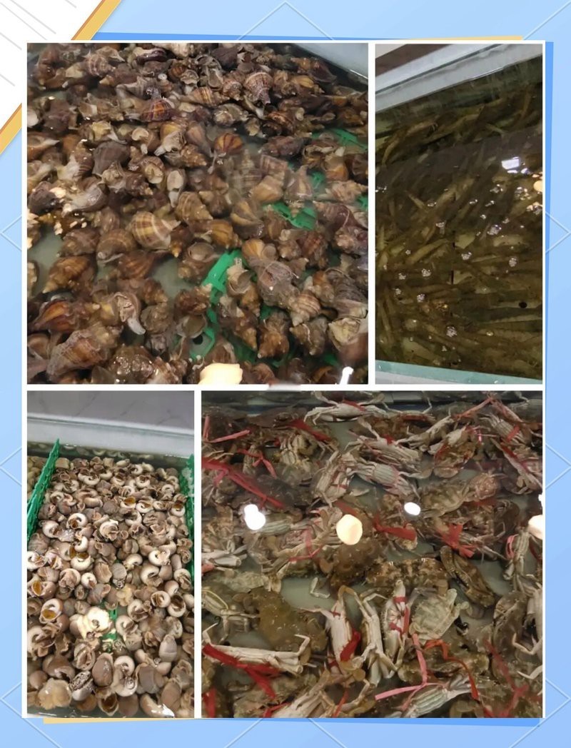 大興龍魚店，萬(wàn)龍洲海鮮大興店)萬(wàn)龍洲海鮮大興店