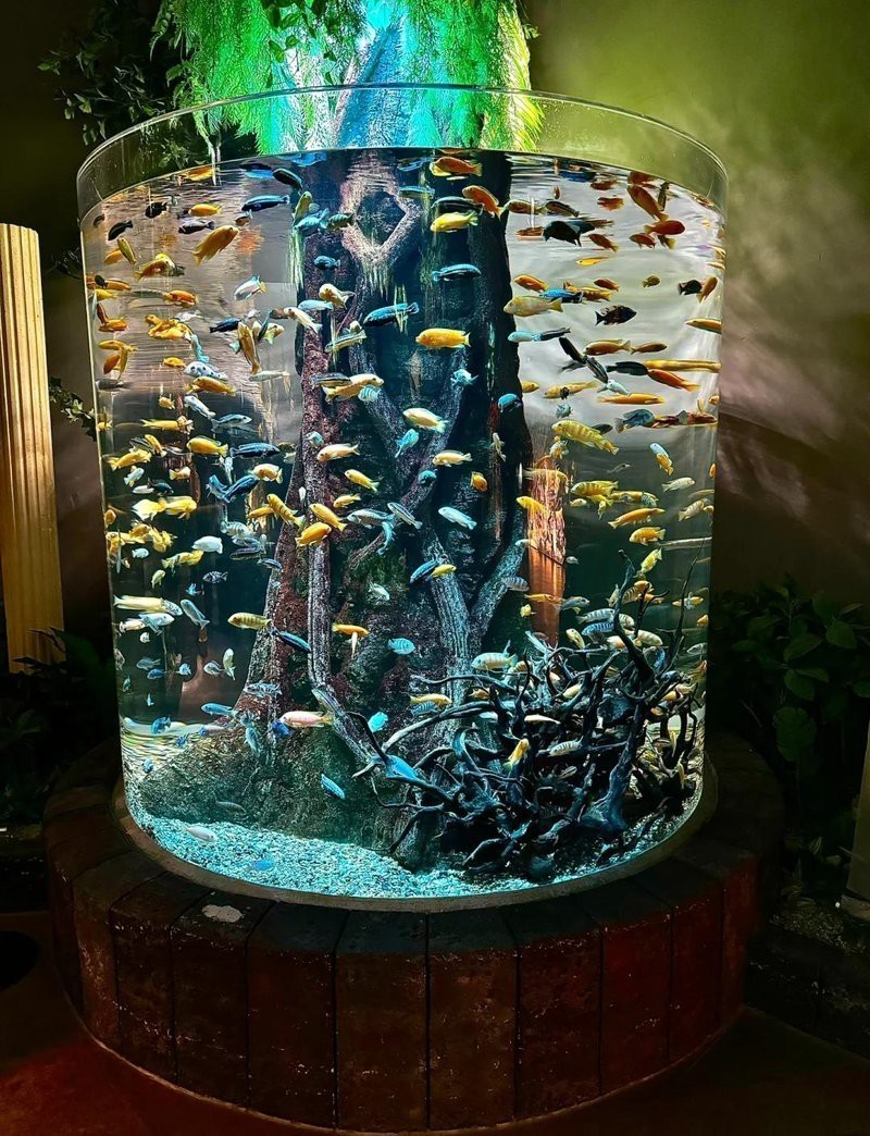 大田水族店，大田水族店哪家口碑好