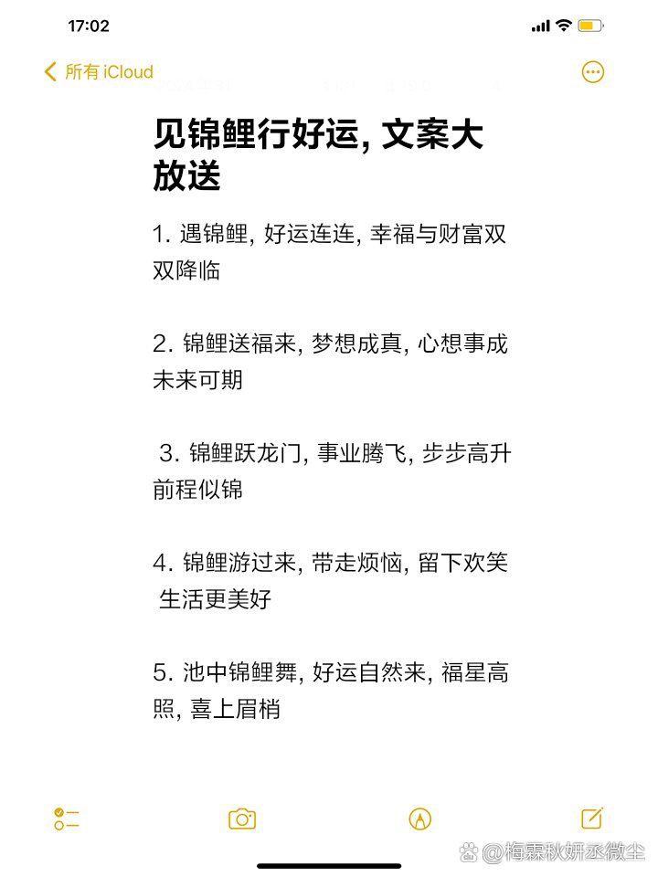 錦鯉最暖心八個字，《錦鯉最暖心八個字》“錦鯉最暖心八個字”聚焦于江湖