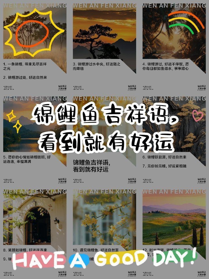 錦鯉最暖心八個字，《錦鯉最暖心八個字》“錦鯉最暖心八個字”聚焦于江湖