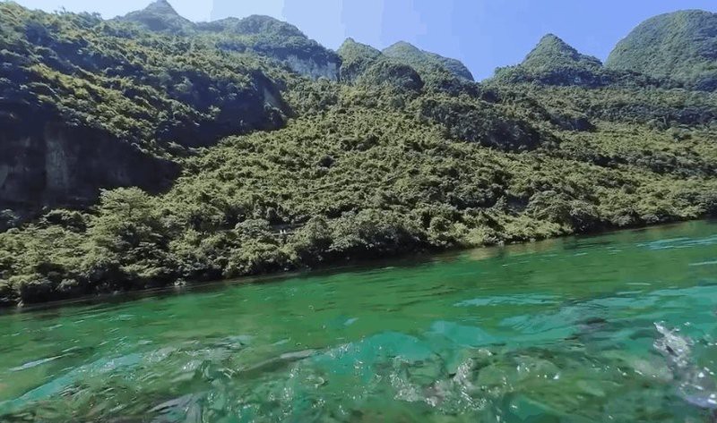 <strong><mark>天峨</mark></strong>水族店，廣西<strong><mark>天峨</mark></strong>水族店