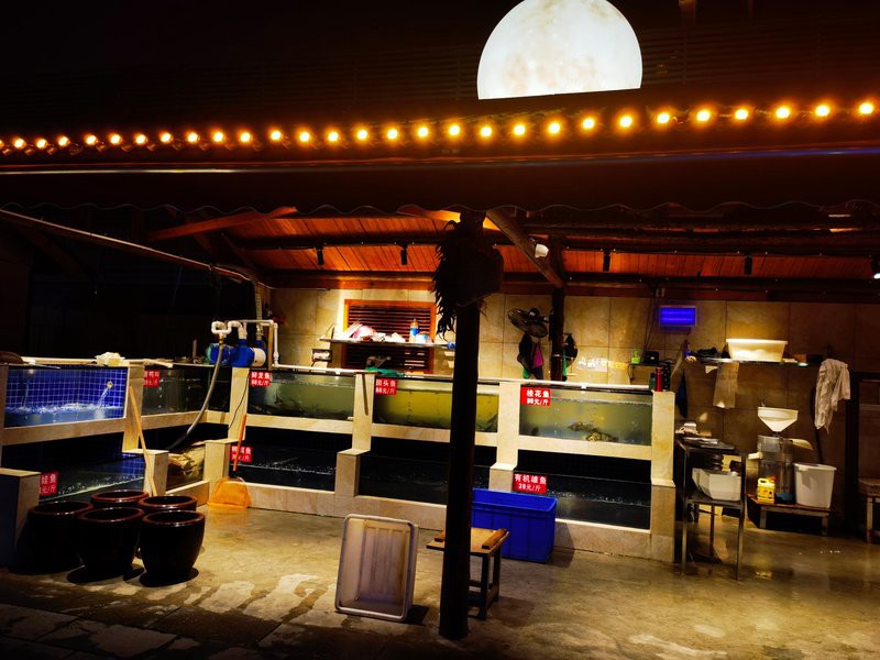 開福龍魚店，“開福龍魚店”位于長沙市開福區(qū)是一家專注于水產(chǎn)品經(jīng)營的特色店鋪