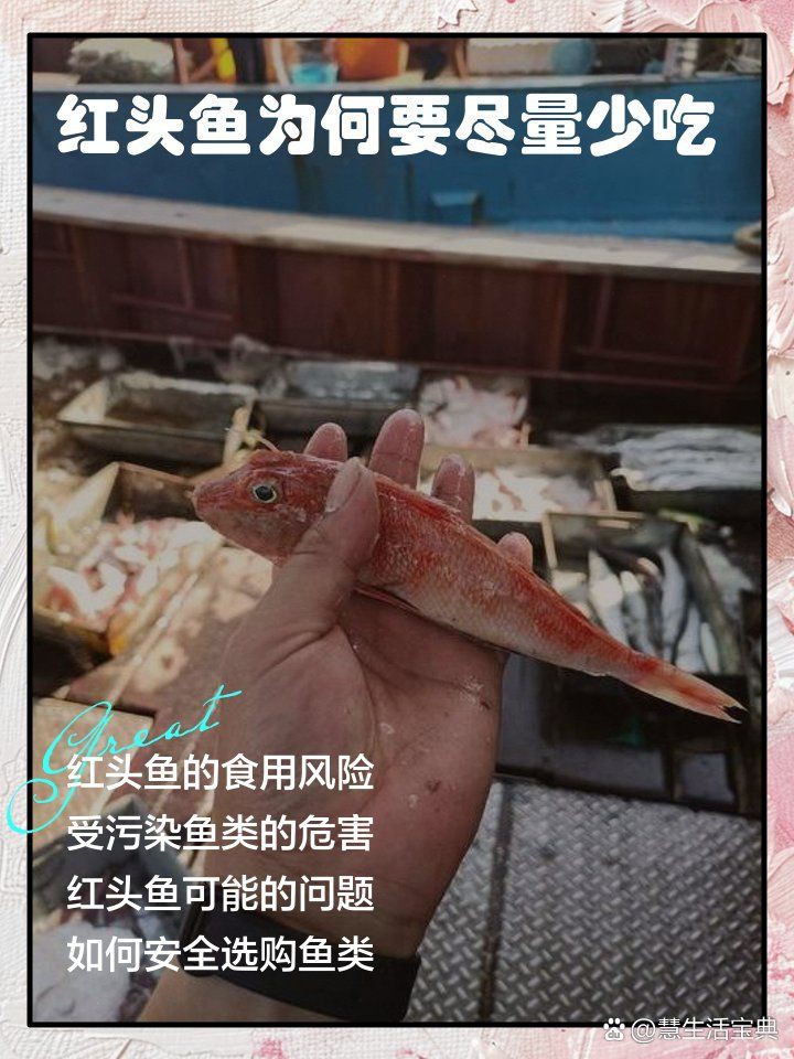 紅頭魚能吃嗎有毒嗎，紅頭魚可以吃嗎？