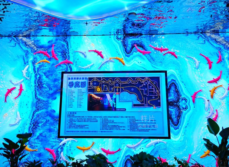 天全水族店，親子游必去的漁你同鱘水族館