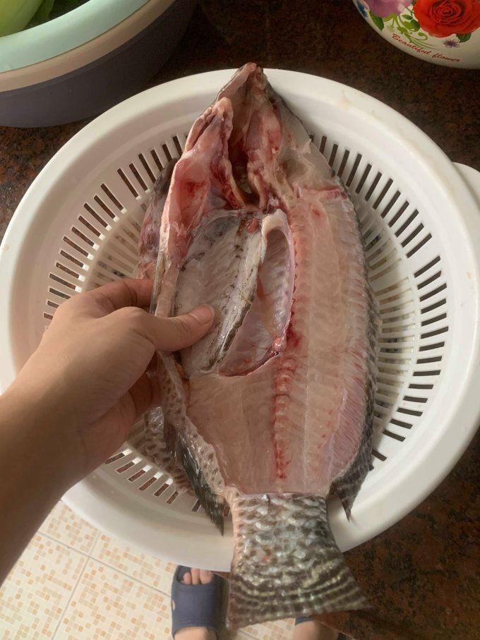 廣東的福壽魚是什么魚，廣東人不吃羅非魚是真的嗎廣東人不吃羅非魚是真的嗎