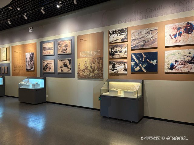 昂昂溪水族店，昂昂溪區有哪些水族店