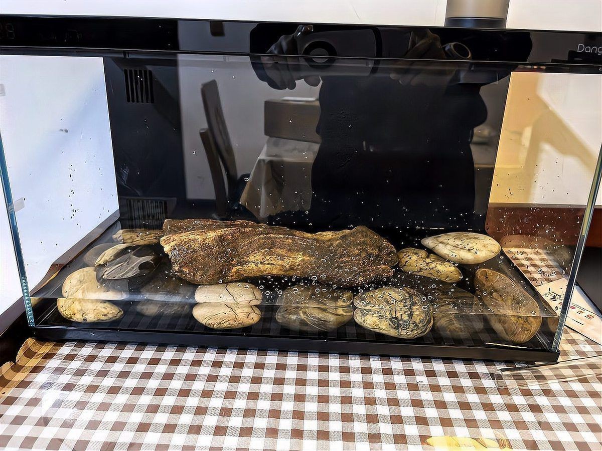 鄂州魚缸定做，鄂州市魚缸定做服務(wù)