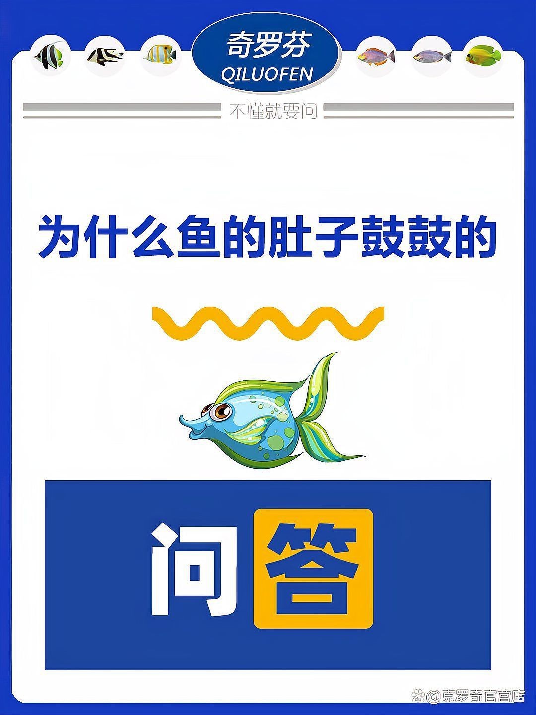 魚肚子鼓起來怎么回事怎么治療，魚肚子鼓脹怎么辦？