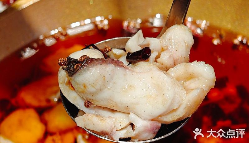 大竹龍魚店，四川大竹龍魚店)美食種草出行攻略來啦 大竹龍魚店，四川大竹龍魚店)美食種草出行攻略來啦 全國水族館企業名錄 第5張