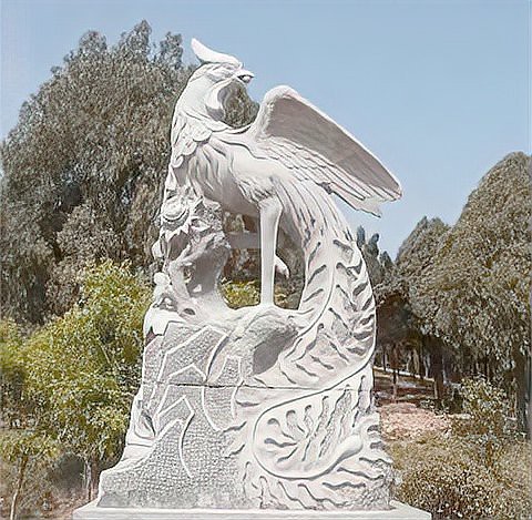 鳳凰的精神和象征意義，鳳凰形象的多重寓意與廣泛應用星辰大海鳳·凰百度教育