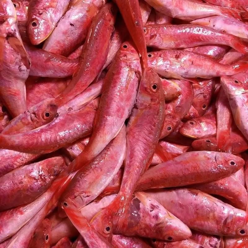 紅魚圖片大全大圖，加拿大紅魚圖片大全大圖生成的摘要：美國紅魚（擬石首魚）