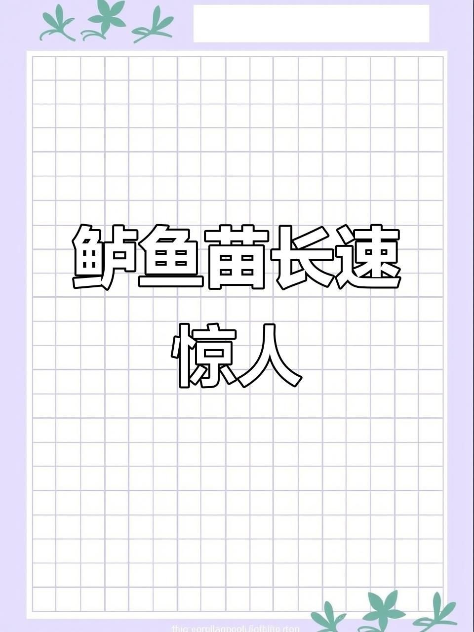 鱸魚幾個月可以長一斤，ride_zz鱸魚苗生長速度大揭秘