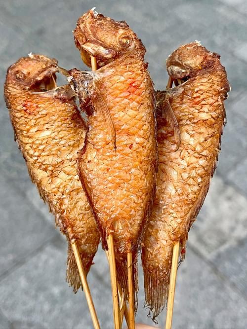 玫瑰魚(yú)圖片，玫瑰魚(yú)是一類(lèi)兼具觀賞價(jià)值與生態(tài)特色的海洋及淡水魚(yú)類(lèi)