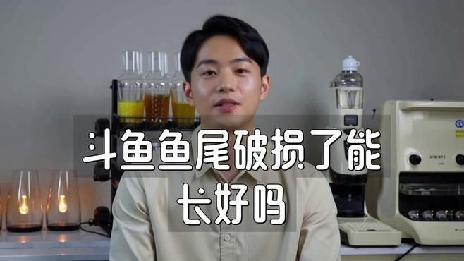 魚(yú)爛尾會(huì)自愈嗎？，斗魚(yú)爛尾能自愈嗎魯瑞達(dá)升梯魚(yú)爛尾能自愈嗎