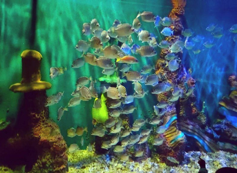 菏澤水族店，菏澤市水族店及相關場館