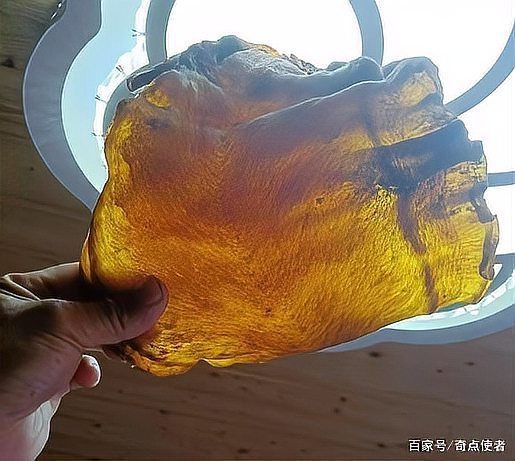 毛魚圖片，“毛魚”在不同地區指代不同物種