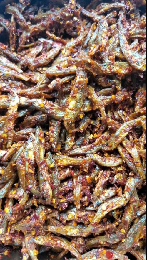 毛魚圖片，“毛魚”在不同地區指代不同物種