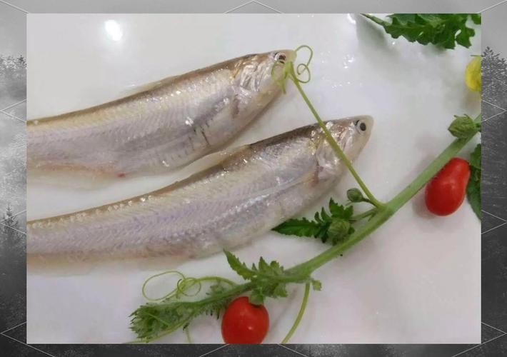 毛魚圖片，“毛魚”在不同地區指代不同物種