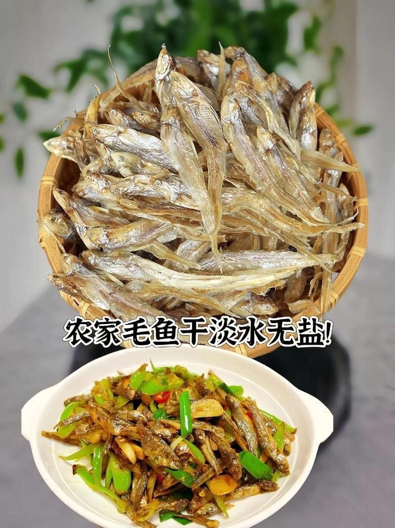 毛魚圖片，“毛魚”在不同地區指代不同物種