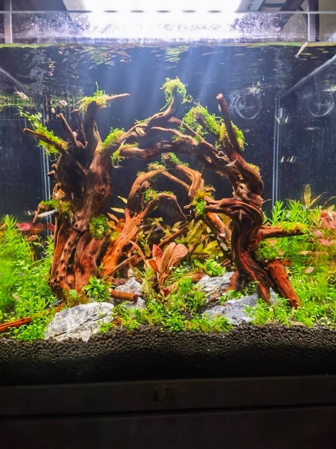 仟湖魚缸御龍殿什么價位，仟湖of專業龍魚缸御龍殿3代金龍紅龍魚專用魚缸水族箱套裝