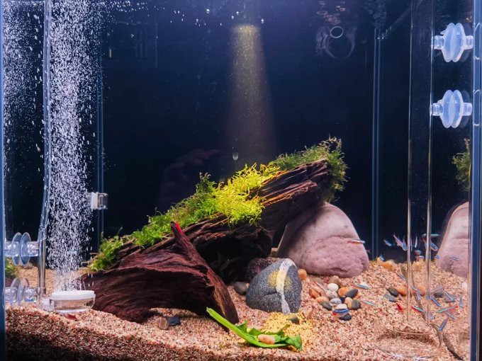 仟湖魚缸御龍殿什么價位，仟湖of專業龍魚缸御龍殿3代金龍紅龍魚專用魚缸水族箱套裝