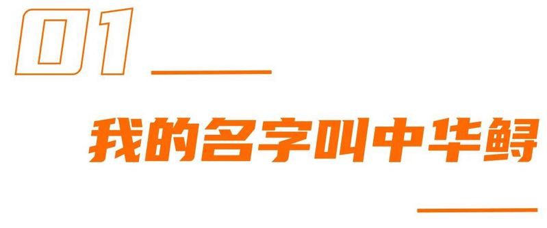 什么魚壽命最長，\
