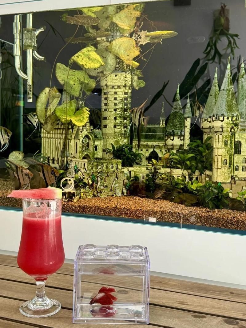 紹興魚缸店，紹興市柯橋區柯橋一岡水族商店