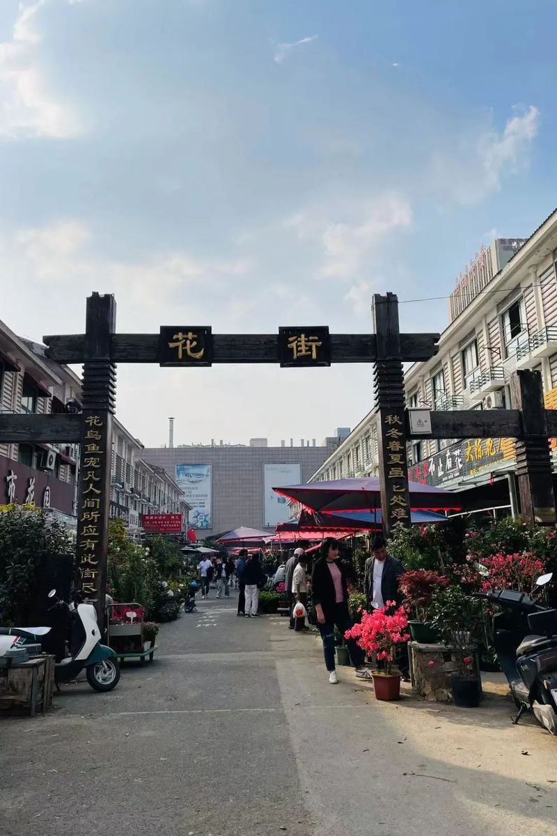 蚌埠魚缸批發市場，蚌埠魚缸批發市場分析 蚌埠魚缸批發市場，蚌埠魚缸批發市場分析 全國水族館企業名錄 第10張