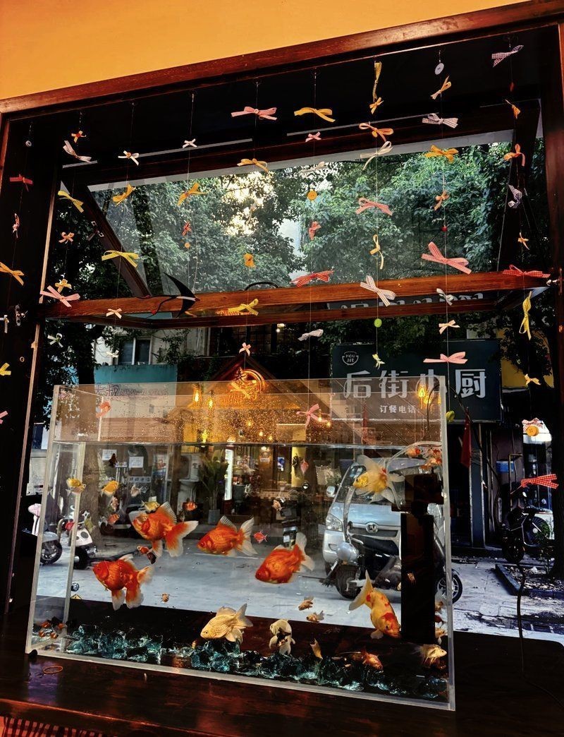 蚌埠魚缸批發市場，蚌埠魚缸批發市場分析 蚌埠魚缸批發市場，蚌埠魚缸批發市場分析 全國水族館企業名錄 第14張