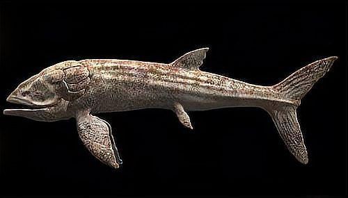 恐龍時代最大的魚，云南發現3.9億年前東方魚化石，揭示恐龍時代的魚類