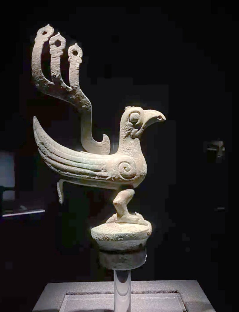 鳳凰不能亂穿的原因，\