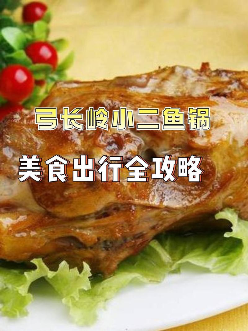 弓長嶺龍魚店，弓長嶺區有哪些水族市場