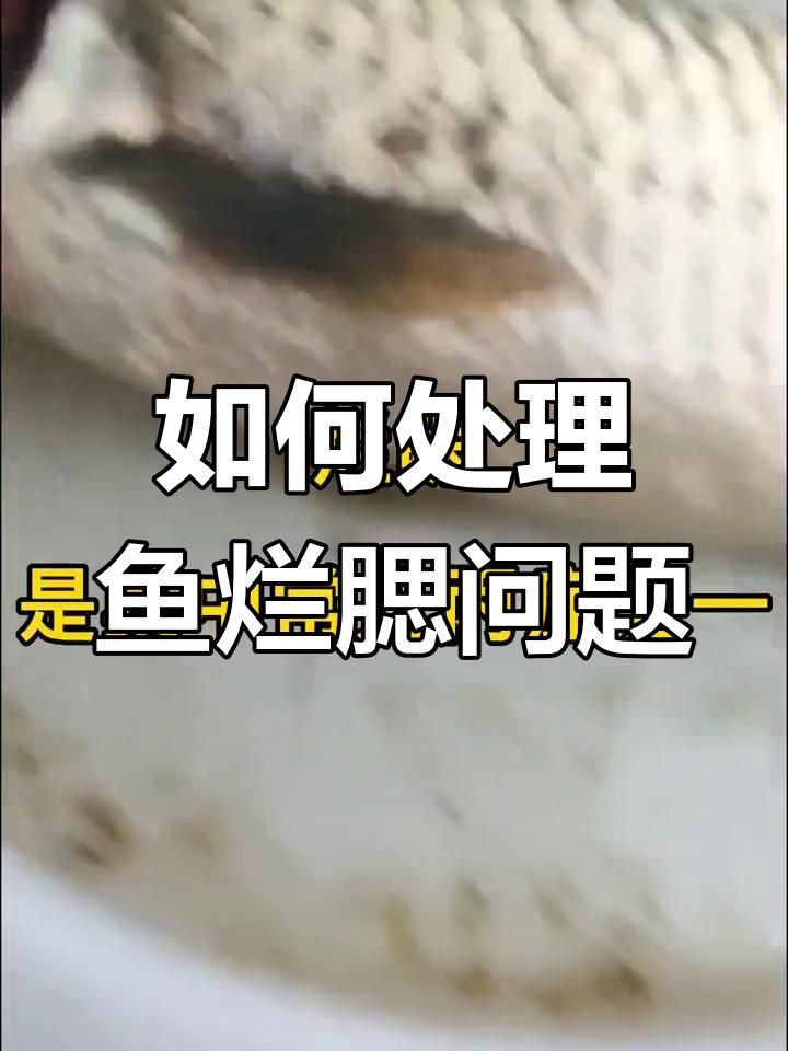 爛鰓病魚如何安全處理？，《爛鰓病魚如何安全處理？》