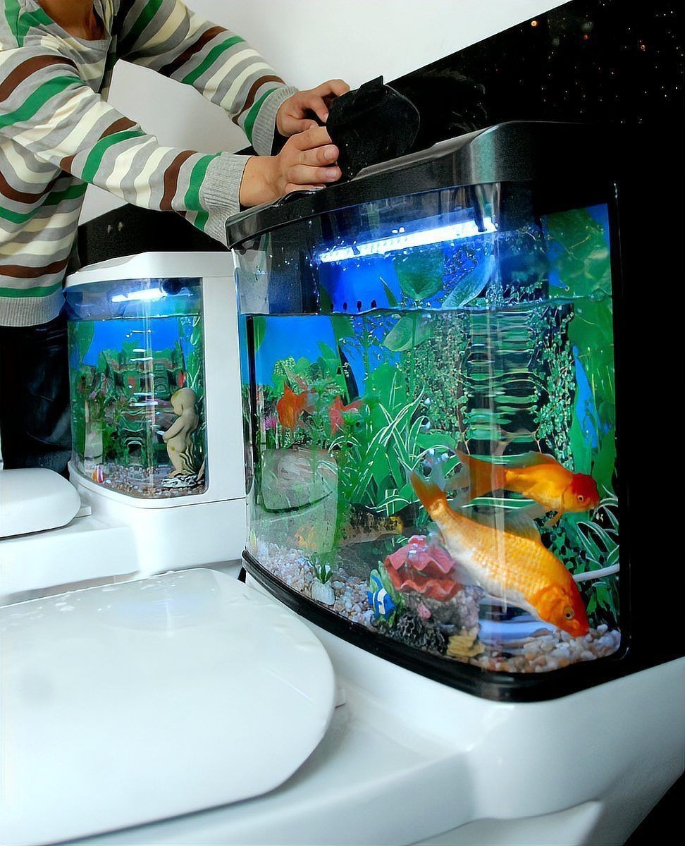 魚缸里養七條魚可以嗎，七條魚缸里養七條魚缸里養七條魚是否能增強風水財氣息 魚缸里養七條魚可以嗎，七條魚缸里養七條魚缸里養七條魚是否能增強風水財氣息 龍魚百科 第11張