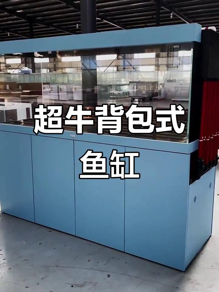 最新款魚缸款式，2025年最新款魚缸在設計與功能上均有顯著創新