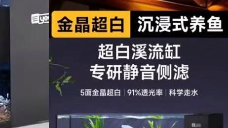 最新款魚缸款式，2025年最新款魚缸在設計與功能上均有顯著創(chuàng)新