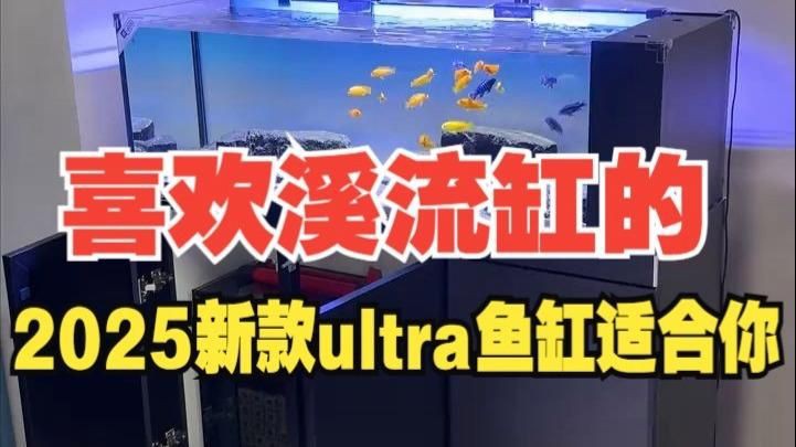 最新款魚缸款式，2025年最新款魚缸在設計與功能上均有顯著創(chuàng)新