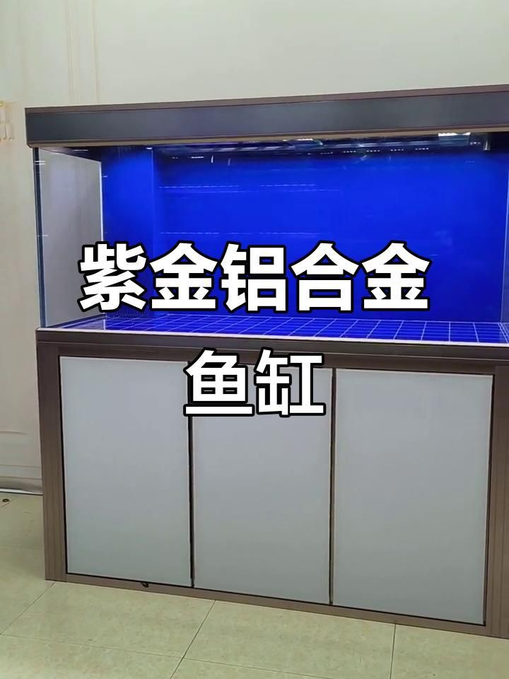最新款魚缸款式，2025年最新款魚缸在設計與功能上均有顯著創(chuàng)新