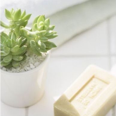 湘潭龍魚店，湘潭市鐘治龍魚店