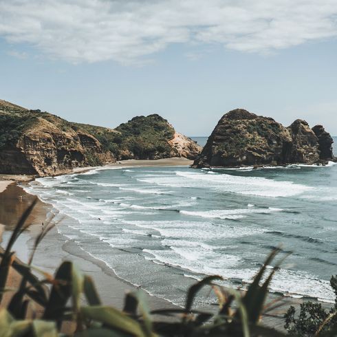 紅龍魚最討厭三個東西，紅龍魚最討厭的三個東西主要體現在以下幾個方面