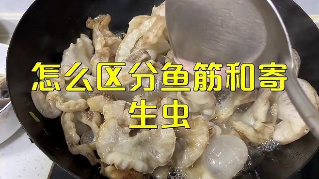 如何鑒別鲅魚體內的寄生蟲和魚筋？，《如何鑒別鲅魚體內的寄生蟲和魚筋》