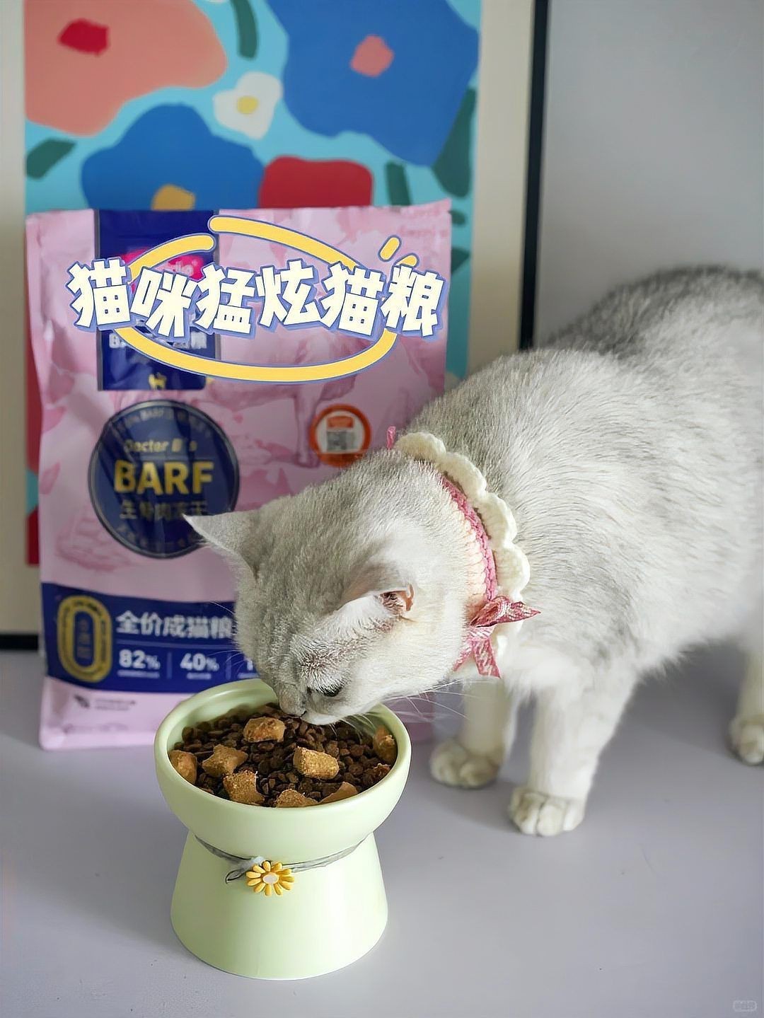 貓把魚刺也吃到肚子里了，貓把魚刺也吃到肚子里了這一情況令人不禁為其健康擔憂