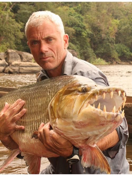 猛魚圖片，猛魚探秘：天生獵手，速戰速決的強者