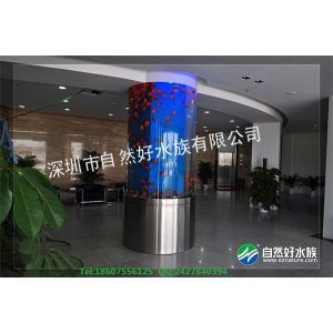 深圳龍華最大觀賞魚批發(fā)市場地址，深圳龍華區(qū)的觀賞魚市場