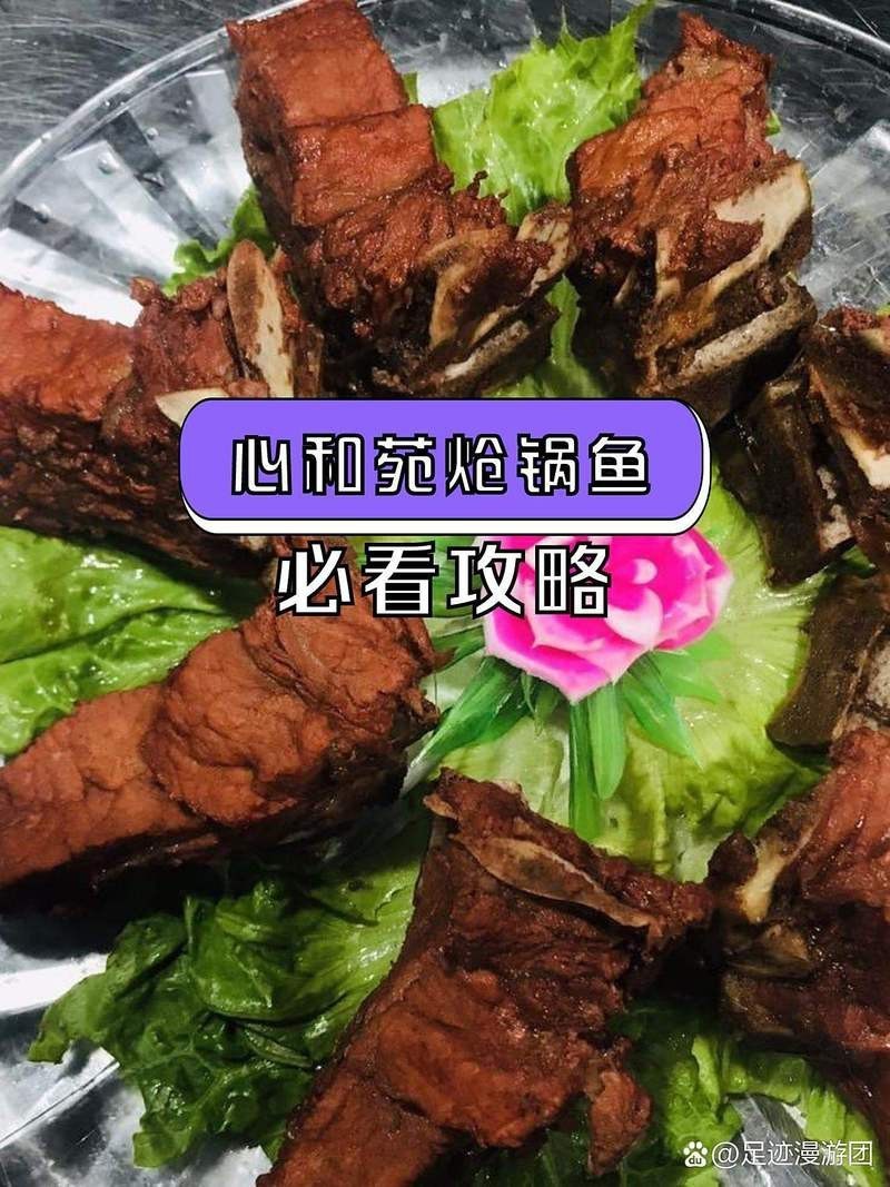 垣曲龍魚店，垣曲龍魚店哪家口碑最好