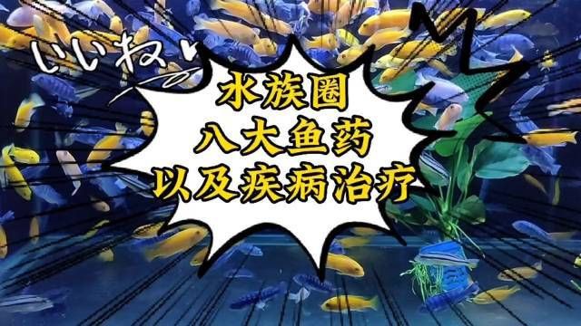 有哪些有效的魚病治療藥物？，養觀賞魚必備的八種魚藥